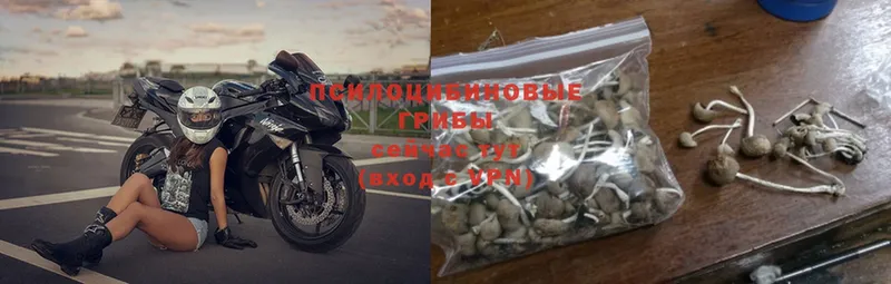 Псилоцибиновые грибы Magic Shrooms  Бирск 